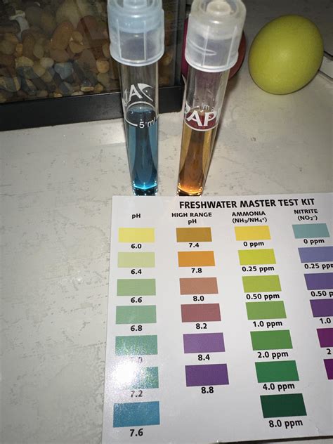 betta fish ph level|PH Level .